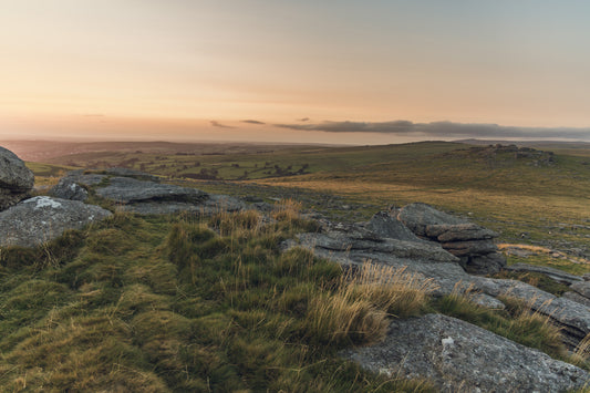 Preserving the UK’s Moorlands: Vital for Environmental Health and Wildlife